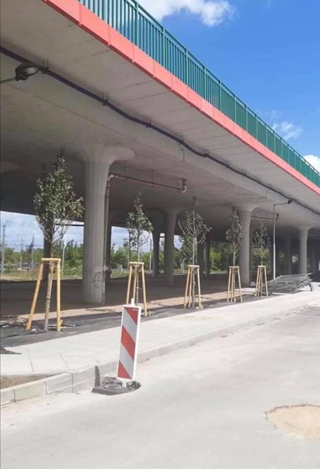 100754582_3467058323323194_1129672009114976256_n