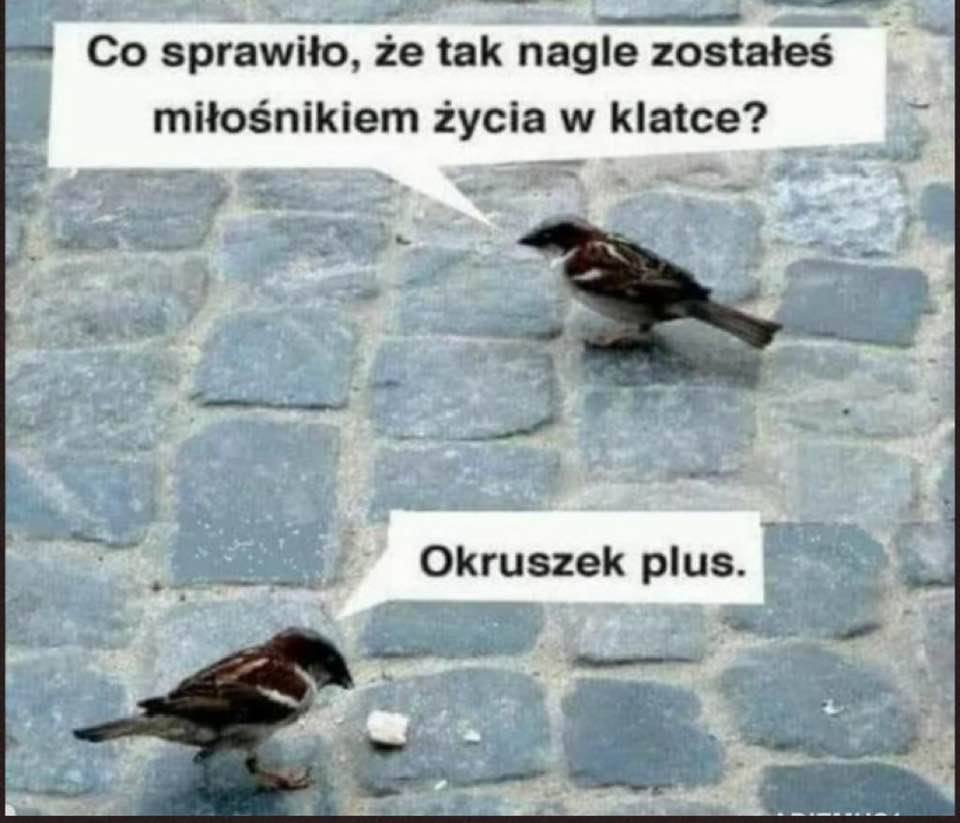 105486703_355838572057895_7695268530229840549_n