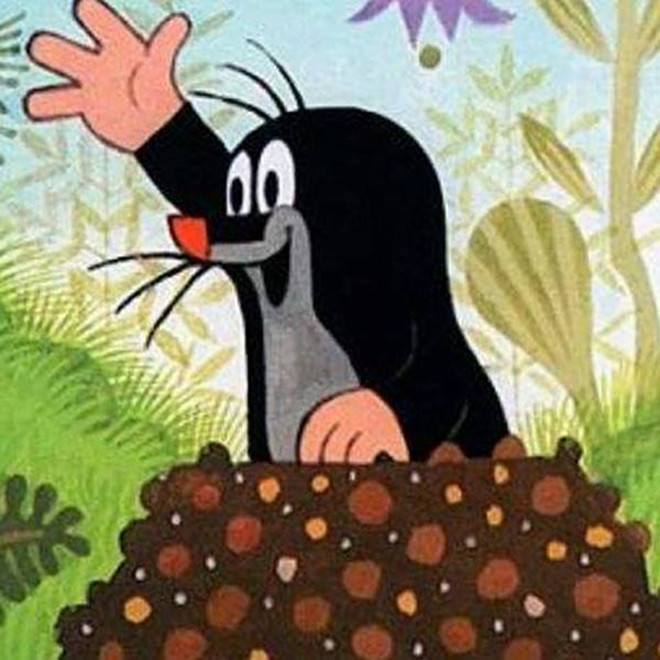 105928387_1378460299019243_296406852790201135_n